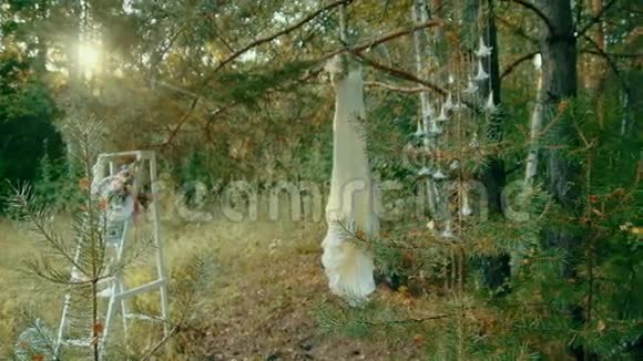 长长的白色婚纱挂在树林里的空地上的松树上视频的预览图