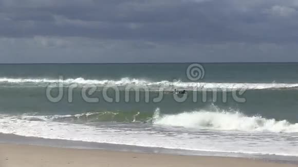 试图捕捉清晨的冲浪降落一个小沙洲视频的预览图