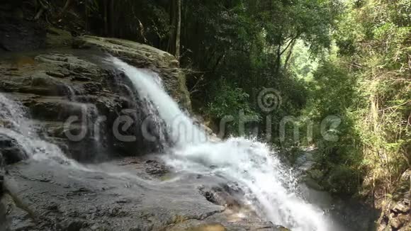 泰国丛林热带瀑布视频的预览图
