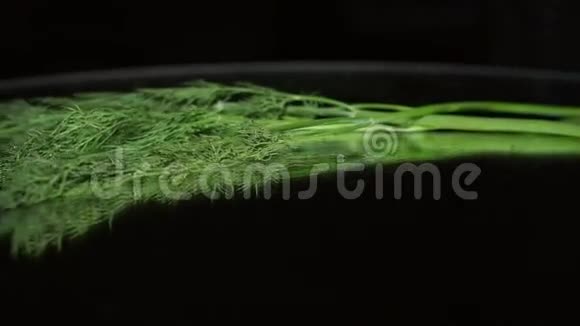 新鲜莳萝枝的特写镜头在转盘上打开视频的预览图