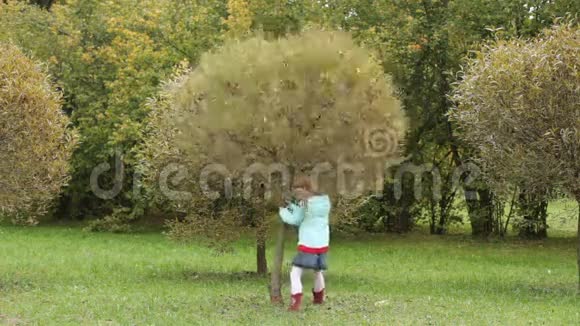 小女孩在公园里摇一棵树视频的预览图