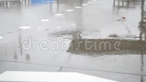 近景雨滴水雨洒视频的预览图