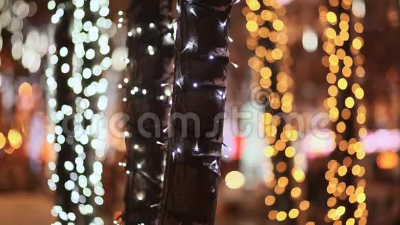 圣诞节在夜晚的城市街道上一丛丛丛的树木在节日的发光照明中特写镜头新年主题视频的预览图