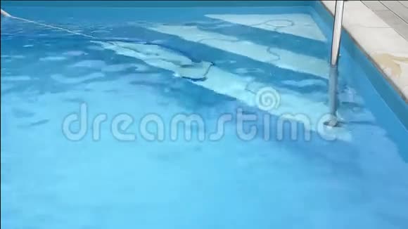 清洗游泳池视频的预览图