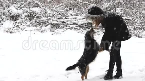 小女孩和狗一起享受冬天视频的预览图