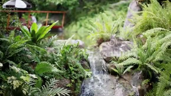 天堂丛林森林与美丽的瀑布埃拉万公园在苏梅岛泰国翡翠池和外来植物视频的预览图