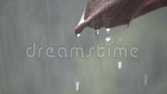 下雨悲伤阴郁无望的天气视频的预览图