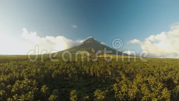 马永火山靠近菲律宾的勒加兹皮市日落时俯瞰棕榈丛林和种植园梅昂火山视频的预览图