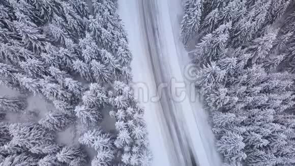 冬季森林道路的鸟瞰图视频的预览图