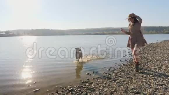可爱的年轻女人和她可爱的狗在湖边的大自然中玩耍视频的预览图
