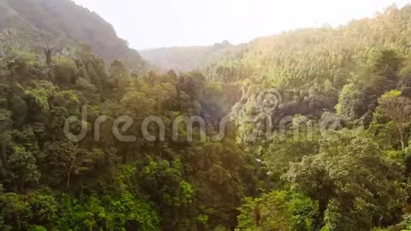 空中飞翔在美丽茂盛的绿色丛林之上棕榈树生长在热带岛屿的大山上阳光明媚视频的预览图