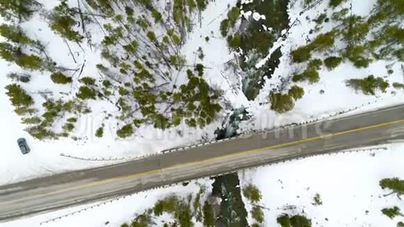 冬季鸟瞰爱达荷州一条带森林的野生河流视频的预览图