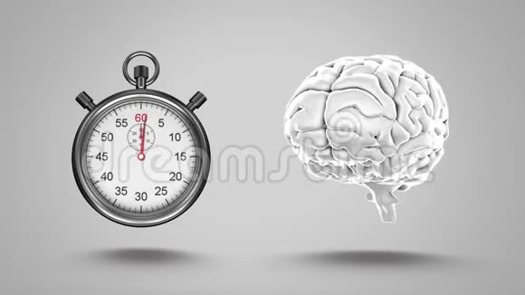 秒表和人脑视频的预览图