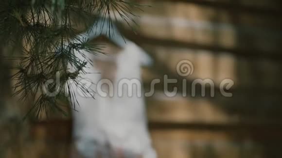 婚纱挂在户外白色婚纱挂在木屋上风吹着裙子视频的预览图