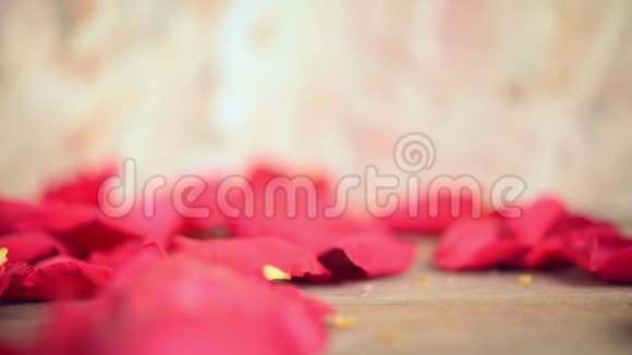 情人节木地板上的红玫瑰花视频的预览图