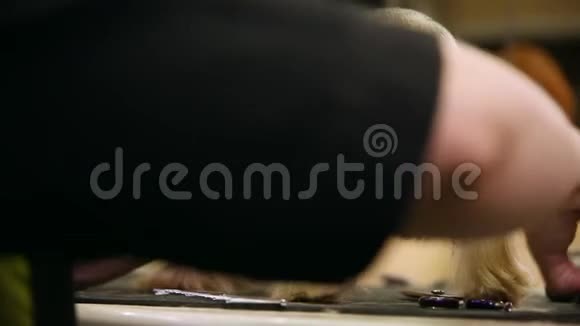 一个穿着特殊衣服的女人用剪刀在爪子上剪约克郡的毛视频的预览图
