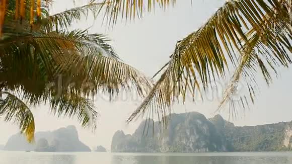 哈龙城长廊有棕榈树岩石和山脉越南视频的预览图