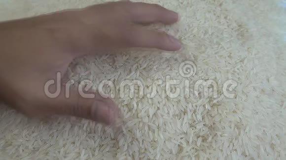 人手捧米粒手中的米粒视频的预览图