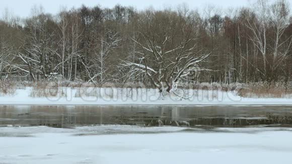 冬天的河边平滑滑杆视频的预览图