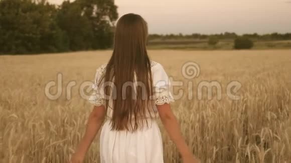 一个快乐的女孩走过一片黄色的麦子用自己的手触摸麦子的耳朵慢动作女孩视频的预览图