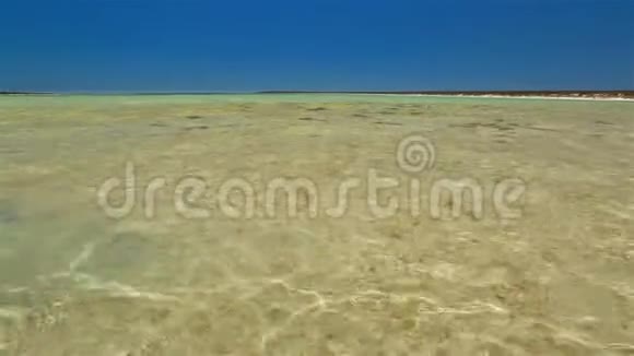 鲨鱼湾的小泻湖视频的预览图