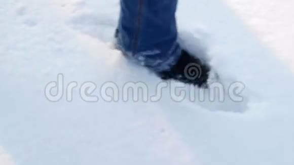 在雪地里奔跑视频的预览图
