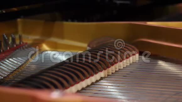 乐器摘要钢琴和琴弦当琴盖打开时琴弦会上升视频的预览图