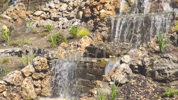 公园里或花园里的小瀑布视频的预览图