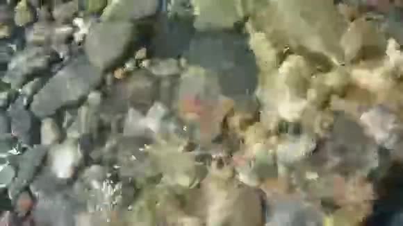 水下石头视频的预览图