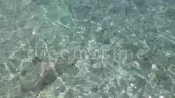 海水表面在阳光下摆动透明的清水和可见的沙底与水下岩石高空顶部视频的预览图