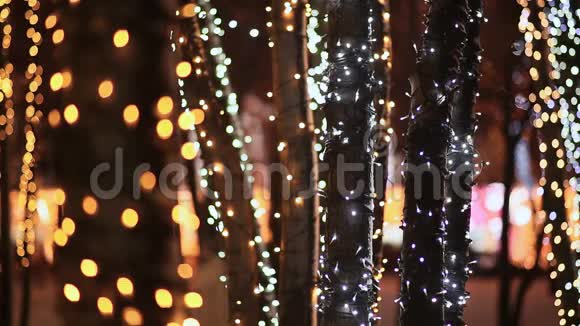 圣诞节在夜晚的城市街道上一丛丛丛的树木在节日的发光照明中特写镜头新年主题视频的预览图