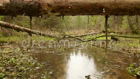 河上倒下的原木秋天的白天光滑的娃娃射击视频的预览图