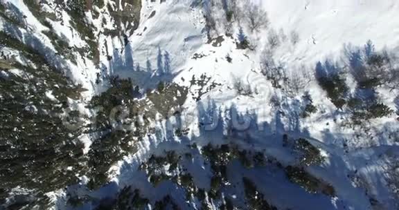 从上面到4K森林的山坡的空中勘测视频的预览图
