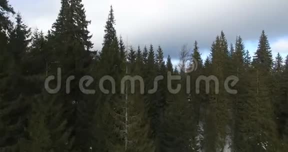 冬季无人驾驶飞机飞越山中的树梢视频的预览图