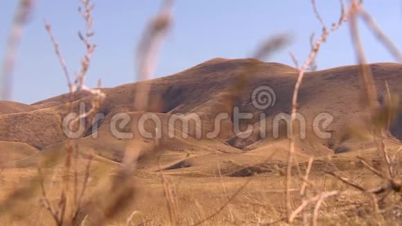 哈萨克斯坦山脉和山麓拍摄地较低视频的预览图