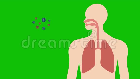 呼吸系统和肺中人电晕病毒或Covid19视频的预览图