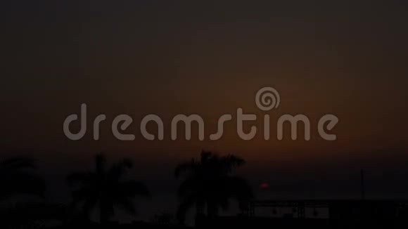 明亮日出的时间流逝快速移动的太阳前景是棕榈树和舞台设计的顶部视频的预览图