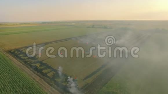 从空中俯瞰燃烧的田野在城市外空气中弥漫着烟雾视频的预览图