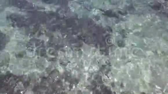 海水表面在阳光下摆动透明的清水和可见的沙底与水下岩石高空顶部视频的预览图