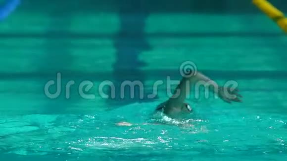 鳄鱼游泳运动员在游泳池里练习视频的预览图