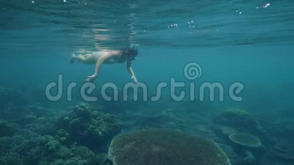 戴着浮潜面具的女人在海底游泳看珊瑚礁和鱼年轻女子在海上浮潜视频的预览图