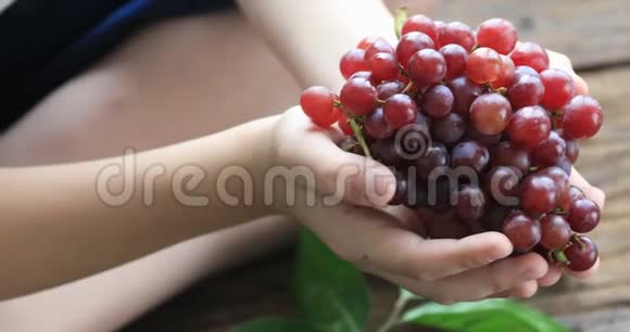 手里拿着一堆自己在红葡萄葡萄园里收获的红葡萄有机食品和精品葡萄酒手工制作视频的预览图