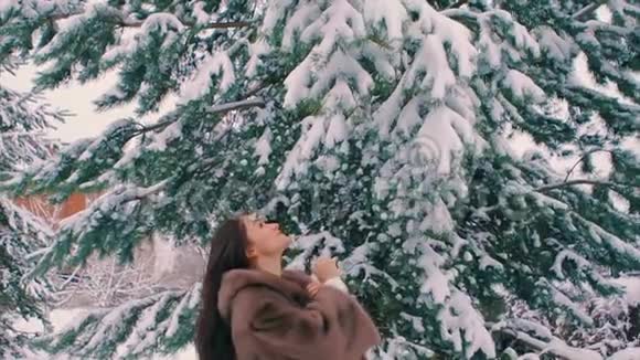 布鲁内特女人从冬天的松枝上慢慢摇雪视频的预览图