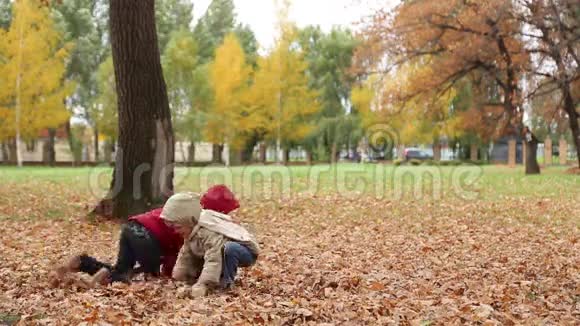 幼儿玩秋天的落叶视频的预览图