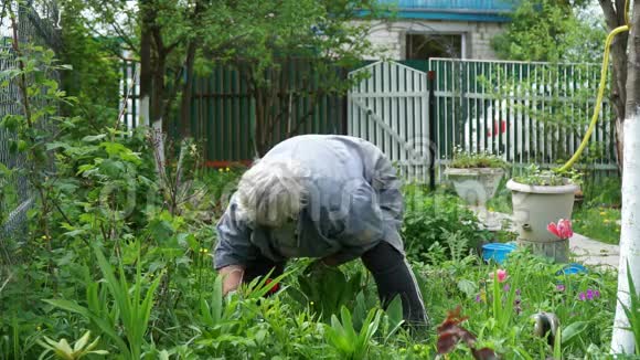 在花园里工作的老妇人视频的预览图