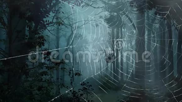 幽灵森林中的蜘蛛网4K视频的预览图
