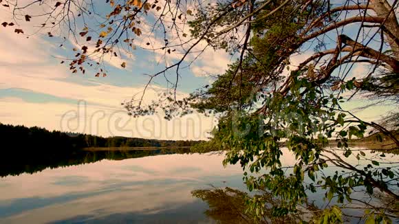 秋天有移动树叶的湖萼片色调视频的预览图