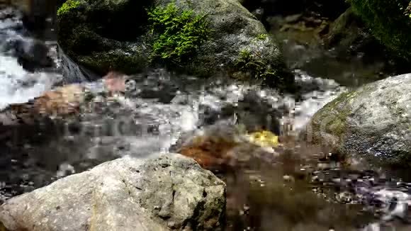 山河近小村视频的预览图