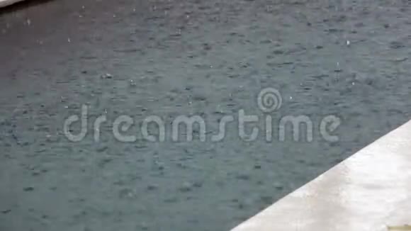 热带雨落在水中视频的预览图