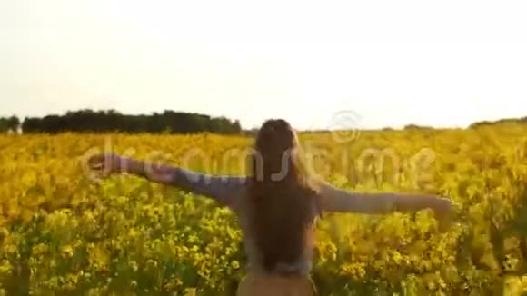 女孩伸出手臂穿过一片田野视频的预览图